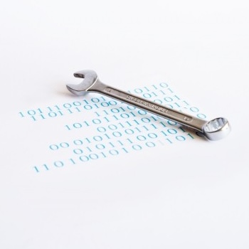 Transfer — © Anne Gärtner